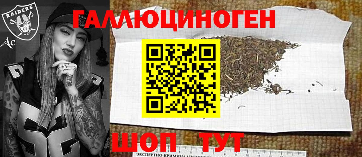 Кисловодск  цена   Вход с VPN  Псилоцибиновые грибы Psilocybine cubensis 