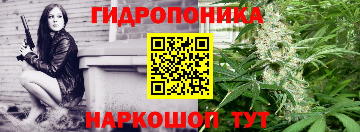Бошки Шишки AK-47  Канабис сатива  Вход с VPN  Кисловодск 